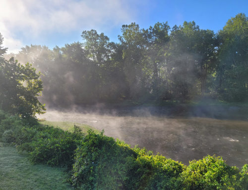 French Creek Fog