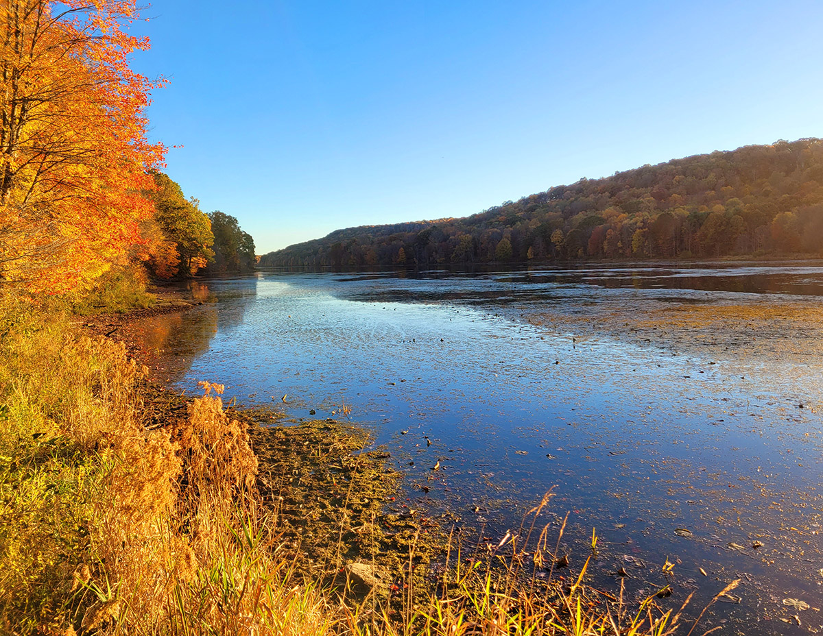 Autumn Colors of Justus Lake